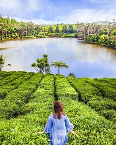 a woman standing in the middle of a lush green field next to a body of water