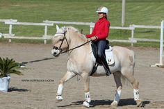 a woman riding on the back of a white horse