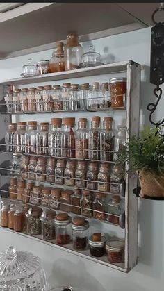 a shelf filled with lots of jars next to a potted plant on top of a counter