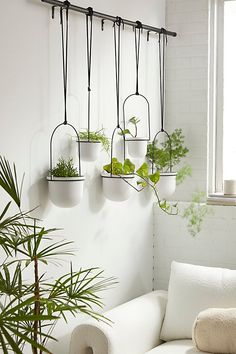 a living room filled with white furniture and potted plants on the wall next to a window