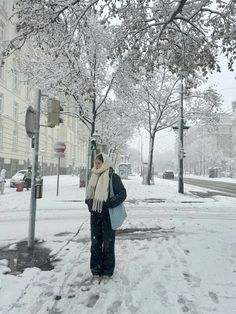 a woman standing in the snow next to a street sign and trees with snow on them