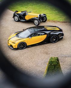 two yellow and black buggies are seen through a magnifying glass on the ground