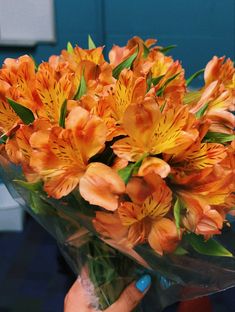 Tiger Lily flower bouquet from my boyfriend Tiger Lilies, Wedding Colours, Lily Flowers, Orange Aesthetic, Grad Pics, Farmhouse Fall