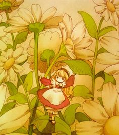 Ashita No Nadja, Caterpillar Alice In Wonderland, Sakura Anime, Wonderland Artwork, Sakura Card Captor, Card Captor Sakura, Sakura Card, Street Graffiti, Card Captor