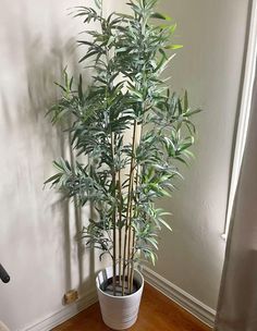 a potted plant sitting on top of a wooden floor