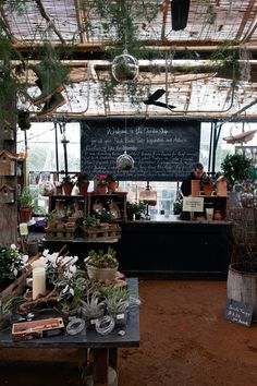 the inside of a greenhouse filled with lots of potted plants and hanging planters