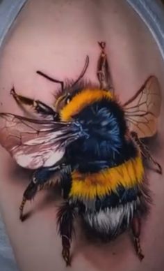 a close up of a bee on the stomach