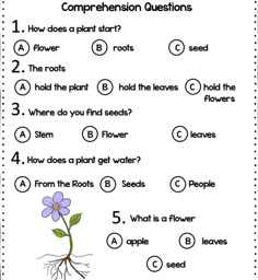 the worksheet is filled with questions to help students learn how to grow flowers