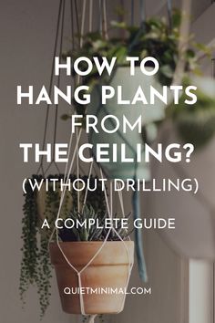 hanging plants from the ceiling with text overlay reading how to hang plants from the ceiling without drilling