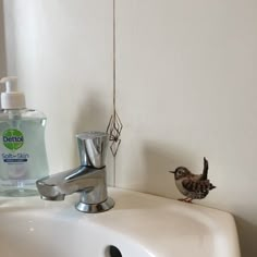 a bird is standing on the edge of a bathroom sink next to a soap dispenser