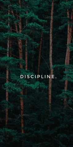 trees with the words discipline on them in front of green and brown forest background that reads,