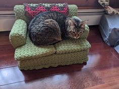 a cat sitting on top of a green chair