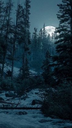 the full moon is setting in the sky above some trees and snow covered ground with water running through it