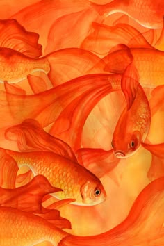 a painting of goldfish in an orange background