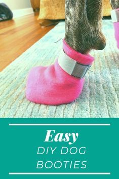 a dog wearing pink boots with the words easy diy dog booties on it