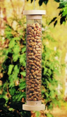 a bird feeder hanging from the side of a tree