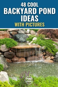 backyard pond ideas with pictures and text overlay that reads 48 cool backyard pond ideas with pictures