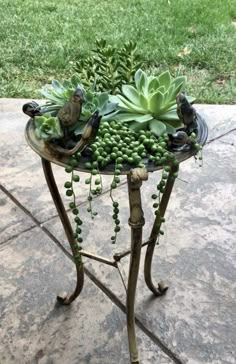 a small table with plants and birds on it