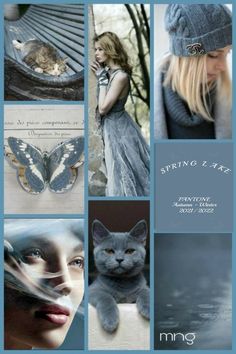 a collage of photos with cats, butterflies and other things in blue hues