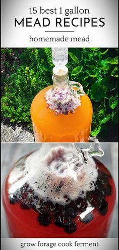 the ingredients for homemade mead are shown in this collage, including an orange and blueberry