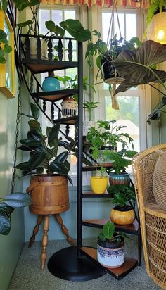 a room filled with lots of plants next to a window