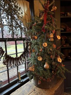 a potted christmas tree sitting on top of a wooden table next to a window