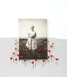 an old photo is surrounded by red flowers