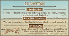 a cheetah running across a field with words describing the different stages of life