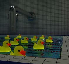 several rubber ducks in a swimming pool surrounded by tiled walls and floor, with water running down the wall