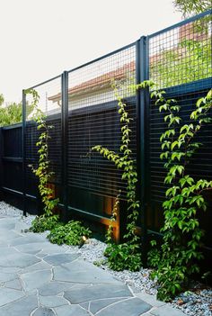 a black fence with green plants growing on it next to a stone walkway in front of a house