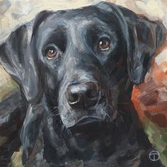 a painting of a black dog with brown eyes