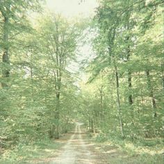 an old photo of a dirt road in the woods