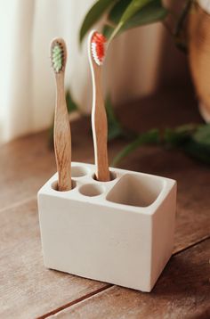 two toothbrushes are sitting in a cup on the table next to a plant