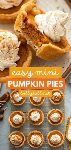 This mini pumpkin pie recipe is super easy! With all the flavors of a traditional pumpkin pie, these mini pies in muffin tins are the perfect individual Thanksgiving dessert. Enjoy this fall food for all your entertaining! Heart Apple Pie, Ed Smith Pumpkin Pie Filling Recipes, Halloween Individual Desserts, Bellyfull Recipes, Mini Pumpkin Pies Recipe, Traditional Pumpkin Pie, Pumpkin Filling, Mini Pumpkin Pies