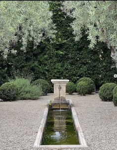 a small fountain in the middle of a graveled area surrounded by bushes and trees