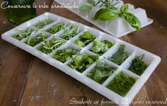 several trays filled with green leafy plants on top of a wooden table next to ice cubes