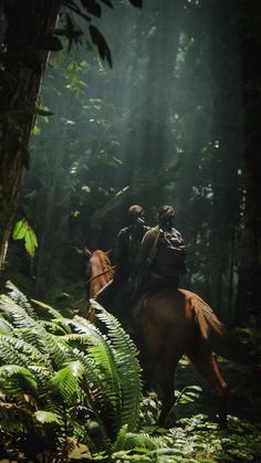 two people riding on the back of horses through a lush green forest filled with ferns