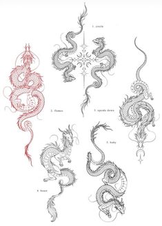 the chinese dragon symbols are drawn in red and black ink on white paper, which reads flash week three