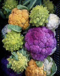 there are many different colored cauliflower heads