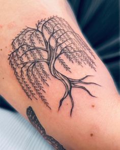 a man with a tree tattoo on his arm