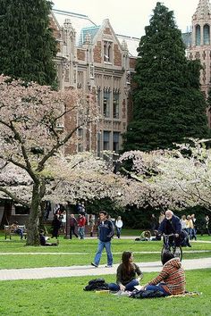 people are sitting on the grass in front of some buildings and trees with pink flowers