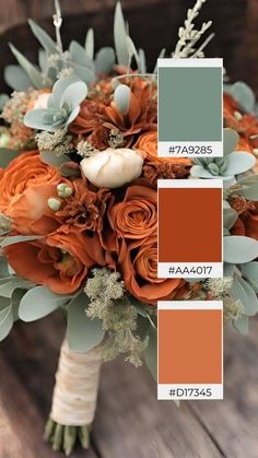 Colors That Compliment Rust Orange, Late Fall Wedding Color Palette, Orange Wedding Color Palette, September Wedding Colors, Unique Fall Wedding, Winter Wedding Color Ideas, Fall Wedding Color Ideas, Wedding Color Palette Ideas