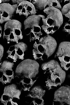 black and white photograph of many human skulls