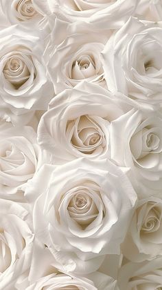 white roses are arranged together in a bouquet