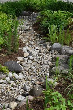 a garden with rocks and plants in it