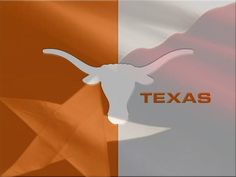 the texas flag with a longhorn on it