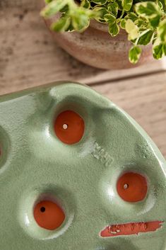 an odd looking green plate with holes in the middle next to a potted plant