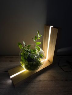 a glass bowl filled with plants sitting on top of a wooden stand next to a book