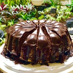 a chocolate cake sitting on top of a white plate next to green plants and flowers