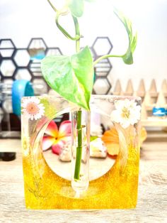 a flower in a glass vase sitting on a table